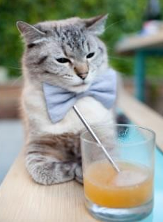 中国男篮主力阵容初现雏形新老结合成亮点,中国男篮主力名单