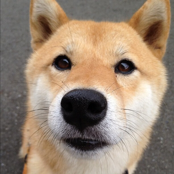 五大联赛进攻套路中最常见的得分模式,五大联赛积分规则