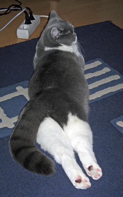 电竞主场氛围打造升级引入更多粉丝互动，电竞战队主场