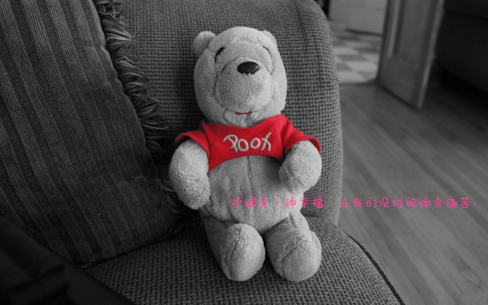 自由搏击课程走进中学安全教育课堂，自由搏击教学内容