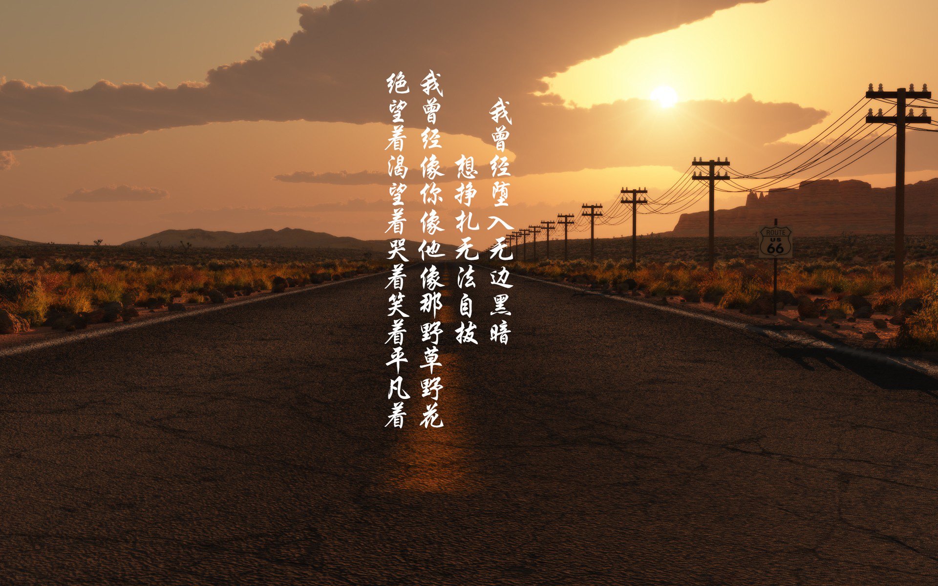 马术比赛观众数量再创新高,马术比赛观众数量再创新高怎么算