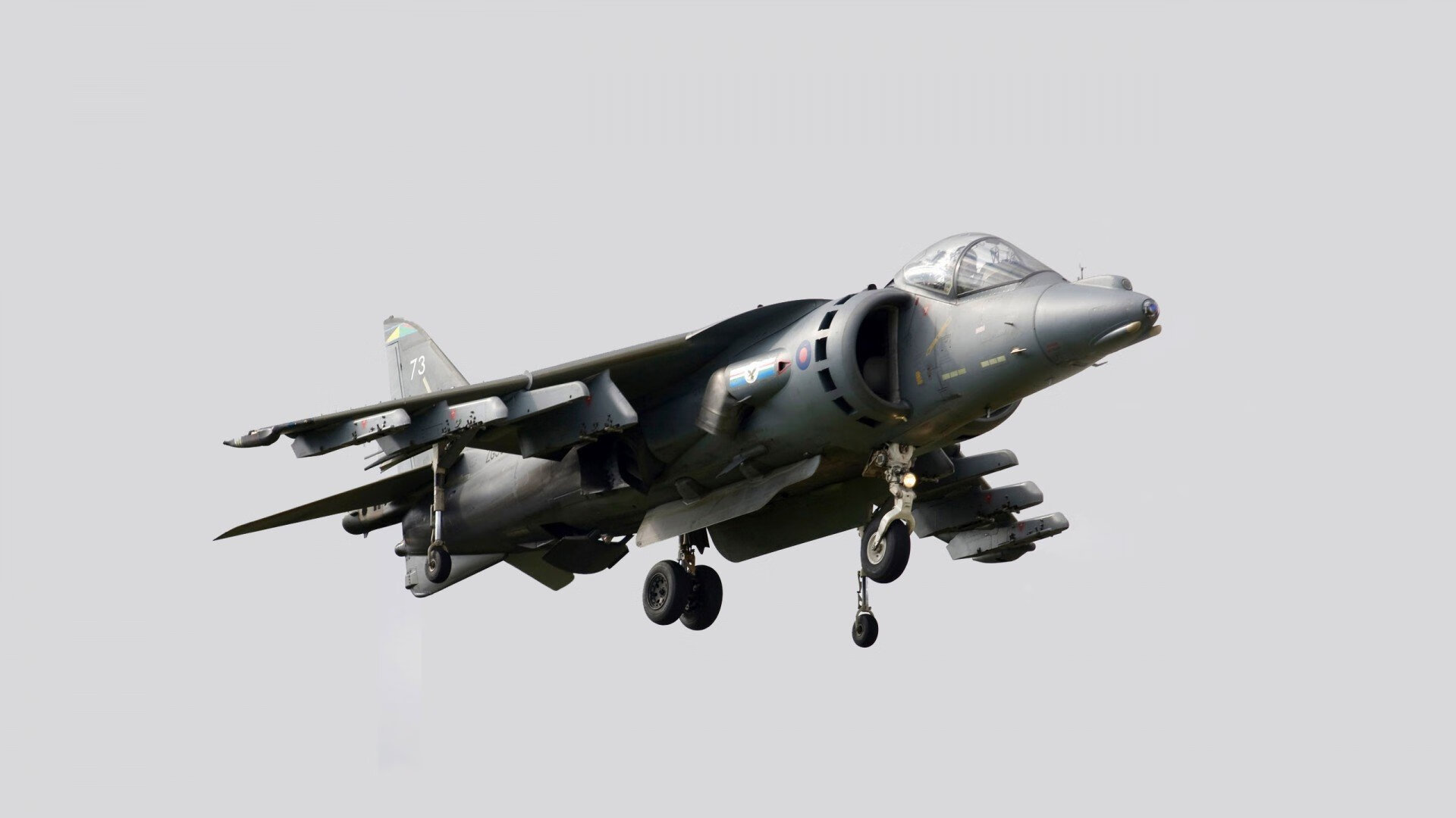 佩拉卡尼亮相蝶泳决赛引热议,佩拉斯卡