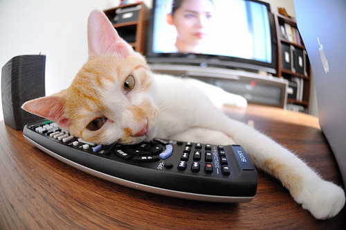 开云体育在线下载-技术训练体系趋向标准化与国际整合，技术标准体系化实施评价方法与实践