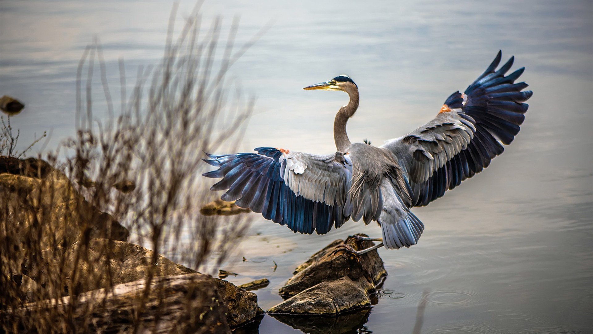 梅西携手阿根廷稳步迈向世界杯,小组出线在望