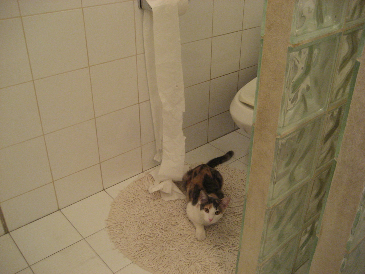 开运体育电脑版-欧洲杯变阵奇兵：战术创新，奇迹不断！，欧洲杯变盘分析