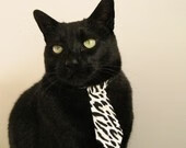 老鹰替补贡献强劲表现主力轮休效果佳,老鹰替补控卫