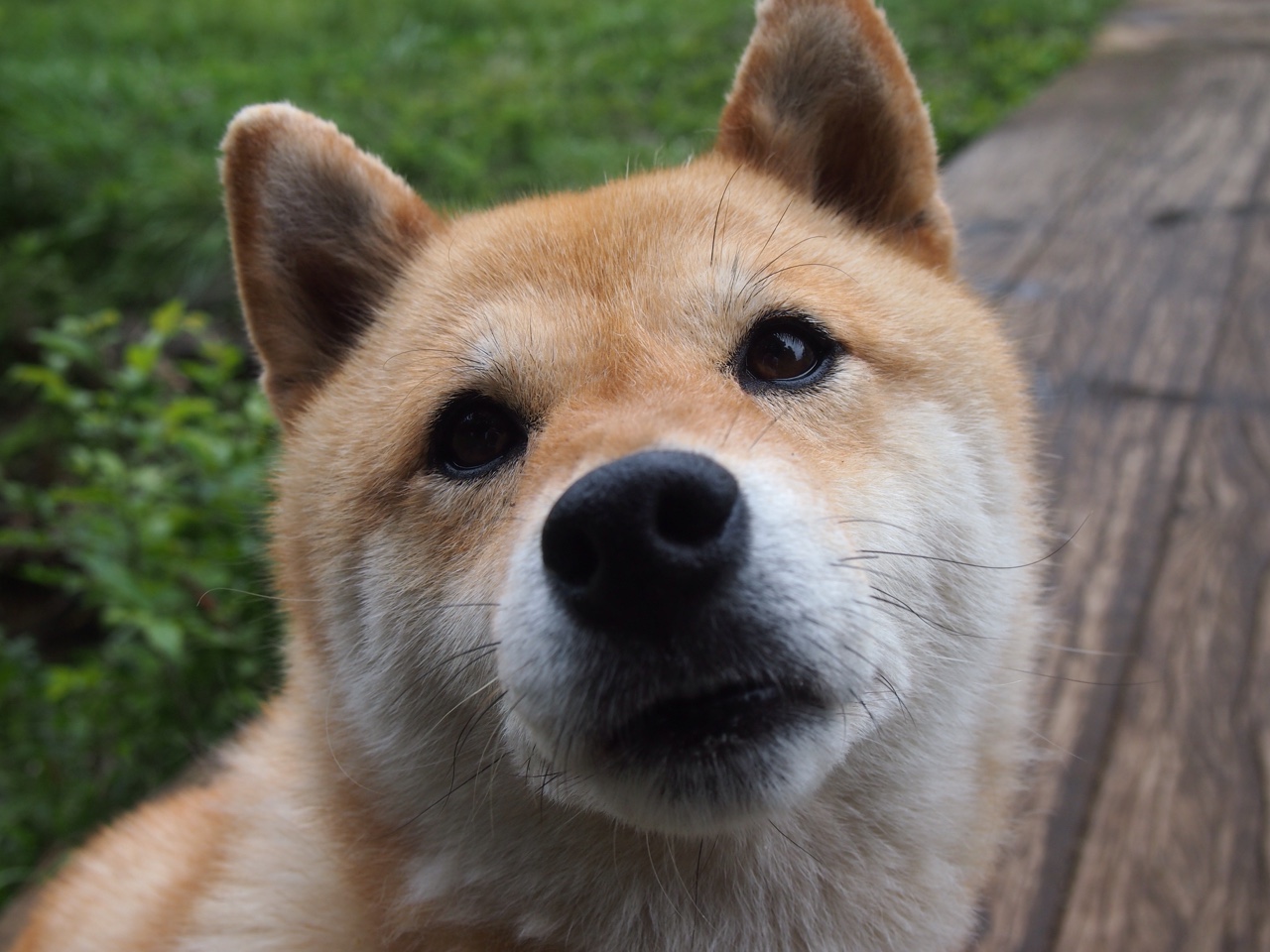 赞助商活动现场火热球员出席提升品牌与赛事联动影响力，赞助商球衣怎么设计