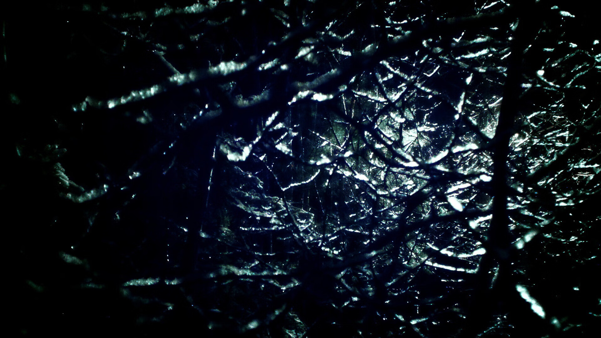 达里尔·基：他在比赛中的稳定发挥让全黑队的防守和进攻达到完美平衡