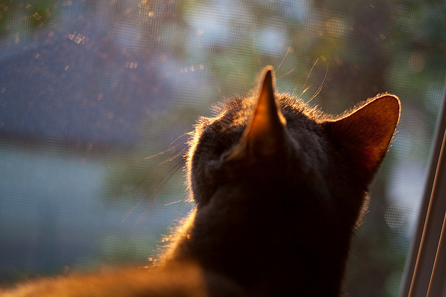 3-1大捷！勒沃库森9人顶住压力收获首胜，勒沃库森三亚军