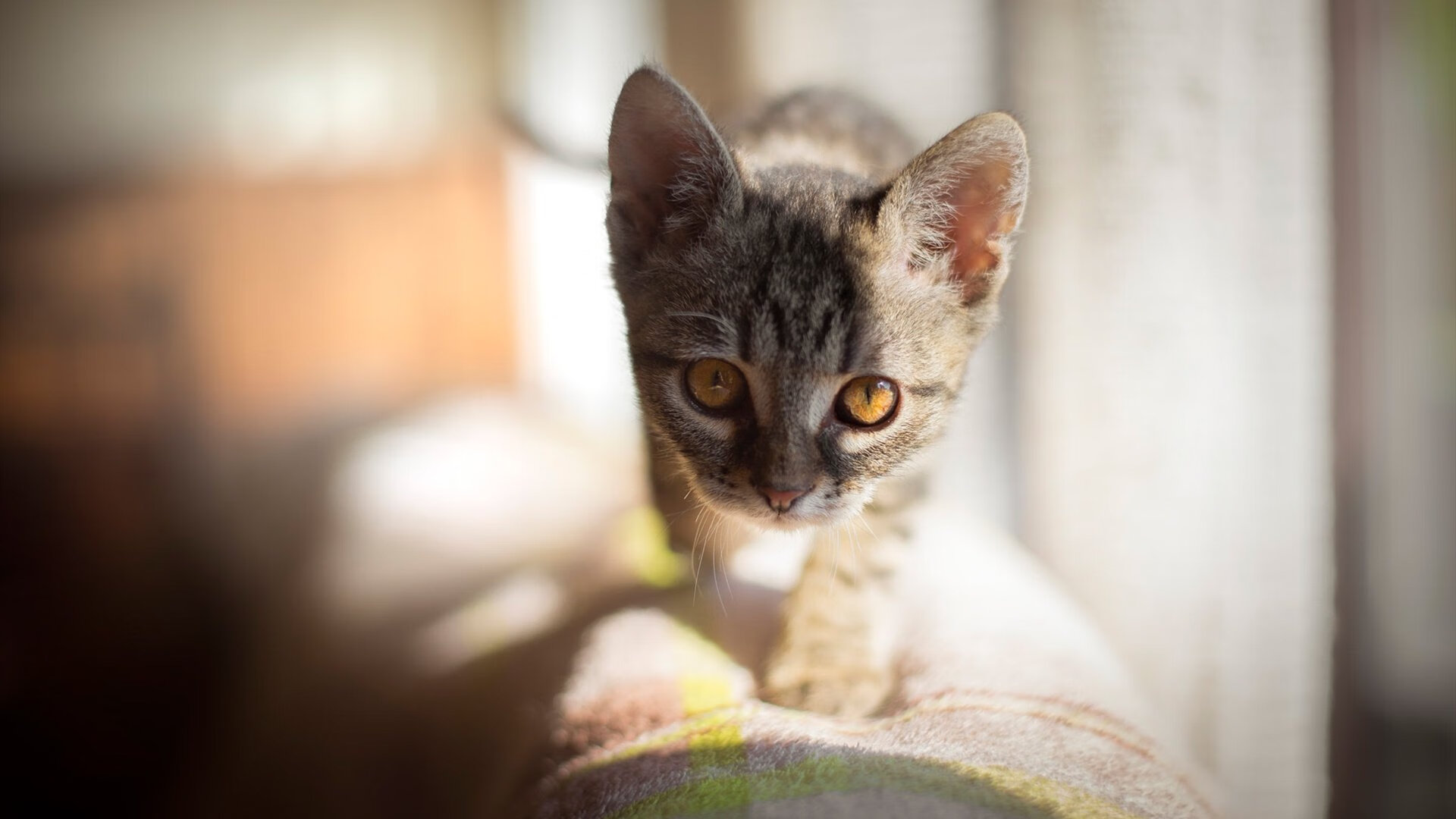 开云体育官网在线-中国元素融入足球：U22国足主帅用“兵马俑”表达敬意