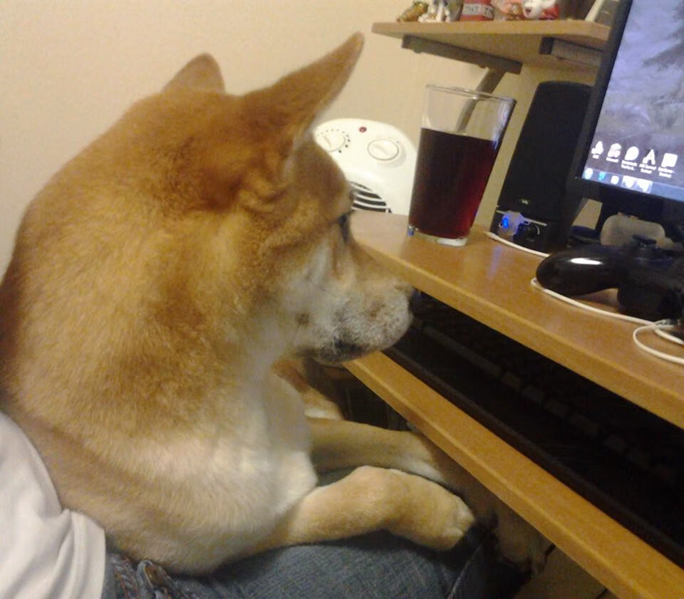 中国足球俱乐部加强球员康复医疗体系建设，足球队医的要求